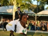 The Best Jump 2017 - Galope de la Victoria