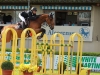 CSI 2*-W The Best Jump 2018