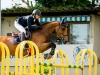 CSI 2*-W The Best Jump 2018