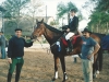Campeonato Gaúcho 2005