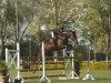 Campeonato Gaúcho 2005