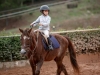 Clínica Hípica Vitória