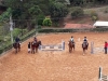 Clínica Hípica Vitória