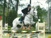 Campeonato Gaúcho 2008 - con Berlín