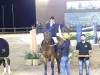CSN Haras Albar - Copa Chevaux