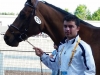 Inspección veterinaria