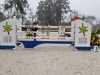 Panamericanos Lima 2019