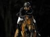 GP Roberto Marinho Rio 2017