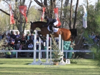 Sudamericano Young Riders 2013