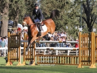 Sudamericano Young Riders 2013