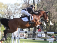 Sudamericano Young Riders 2013