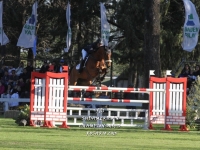 Sudamericano Young Riders 2013