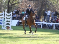 Sudamericano Young Riders 2013