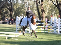Sudamericano Young Riders 2013