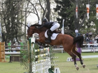 Sudamericano Young Riders 2013