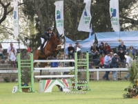 Sudamericano Young Riders 2013