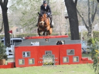 Sudamericano Young Riders 2013
