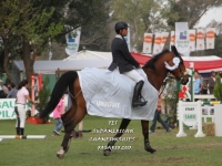 Sudamericano Young Riders 2013