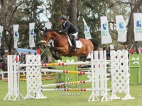 Sudamericano Young Riders 2013