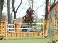 Sudamericano Young Riders 2013
