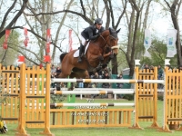 Sudamericano Young Riders 2013