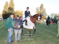 Sudamericano Young Riders 2013