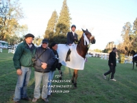 Sudamericano Young Riders 2013