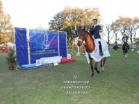 Sudamericano Young Riders 2013