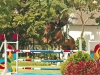 Torneo de Verano Clube Hipico Santo Amaro 2008