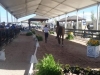 Tryon 2018 - Inspección Veterinaria