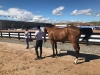 Tryon 2018 - Inspección Veterinaria