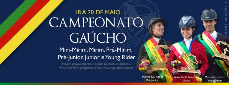 Lee más sobre el artículo Banner Campeonato Gaucho 2012