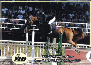 Lee más sobre el artículo II MD Horse Show – Centro Hípico MD – Passo Fundo (Brasil)