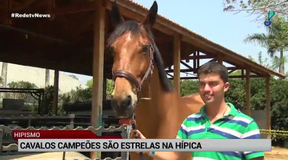 Lee más sobre el artículo Cavalos campeões são estrelas na Hípica Paulista