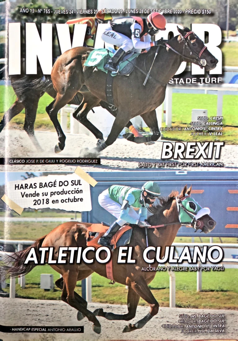 Lee más sobre el artículo Marcelo Chirico gana torneo español de salto